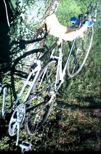 2-18-2013 20-40-14_006