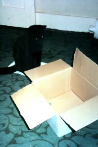 4-10-2013 22-0-20_001