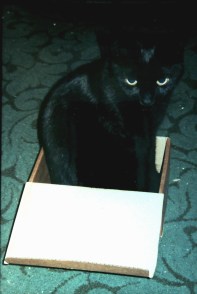 4-10-2013 22-15-16_006