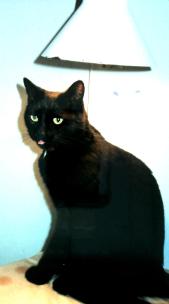 4-10-2013 22-55-18_018