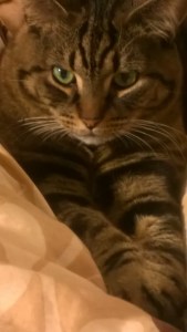 WP_20150106_16_56_05_Pro